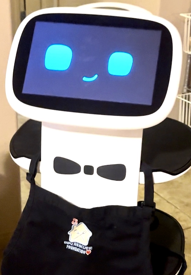 Ricky the Robot volunteers at BBQRESCUES! Parties