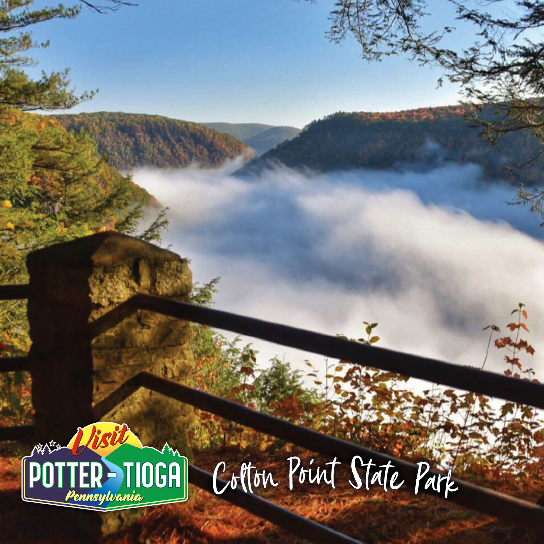 Washingtoner Visit PotterTioga State Parks Recognized as 'Most